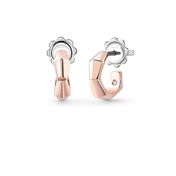 Eva earrings with diamonds